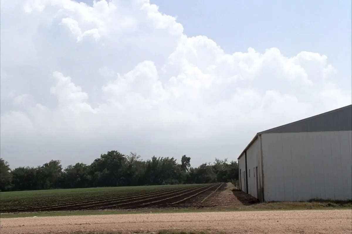 Long white metal building beside a plowed field in Medina County, Texas